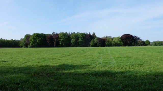 Dauwtrappen (donderdag 18 mei 2023)